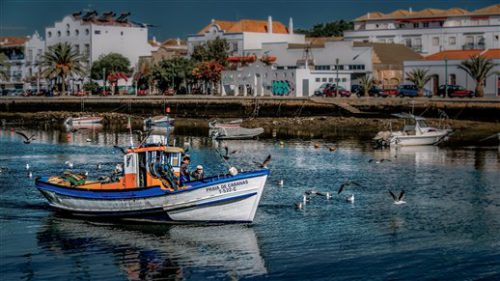 Portugal Algarve Islas Tavira 001