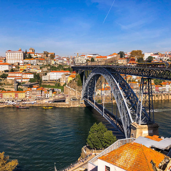 Portugal Cat 015